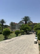 photo18718613294