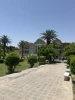 photo18718613294