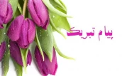 پیام تبریک رئیس دانشگاه ملی مهارت استان کهگیلویه و بویراحمد در پی انتخاب عضو هیات علمی دانشگاه ملی مهارت استان به عنوان عضو شورای مرکزی سازمان نظام مهندسی ساختمان کشور