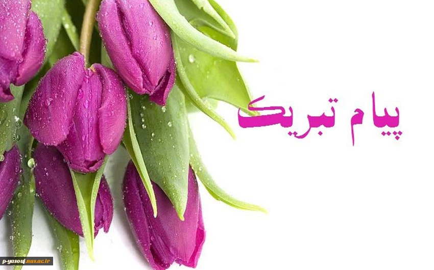 پیام تبریک رئیس دانشگاه ملی مهارت استان کهگیلویه و بویراحمد در پی انتخاب عضو هیات علمی دانشگاه ملی مهارت استان به عنوان عضو شورای مرکزی سازمان نظام مهندسی ساختمان کشور 2